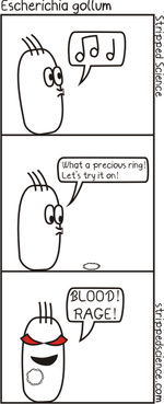 ehec e coli.PNG